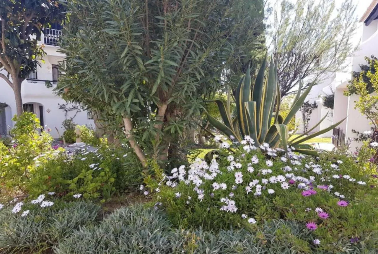 Apartment Sao Rafael Holidays 阿尔布费拉 葡萄牙